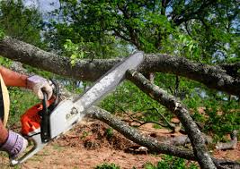 Lawn Irrigation Installation and Maintenance in Harlem, GA